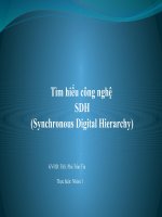 tiểu luận tìm hiểu công nghệ sdh (synchronous digital hierarchy)