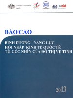 báo cáo bình dương năng lực hội nhập kinh tế quốc tế từ góc nhìn của đô thị việt nam