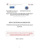BÁO CÁO ĐÁNH GIÁ KHẢO SÁT Về tính liên kết vùng trong phân cấp kế hoạch tại trung ương và địa phương