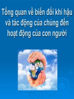 TIỂU LUẬN TỔNG QUAN VỀ BIẾN ĐỔI KHÍ HẬU VÀ TÁC ĐỘNG CỦA CHÚNG ĐẾN HOẠT ĐỘNG CỦA CON NGƯỜI