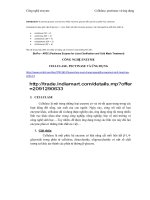 bài tiểu luận  công nghệ enzyme