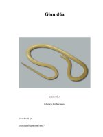 Giun đũa: định nghĩa, chẩn đoán, điều trị, phòng ngừa