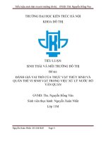 tiểu luận sinh thái và môi trường đô thị đề tài đánh giá vai trò của thực vật thuỷ sinh và quần thể vi sinh vật trong việc xử lý nước hồ văn quán