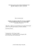 NGHIÊN CỨU MỐI QUAN HỆ GIỮA SẢN XUẤT, CHẾ BIẾN VÀ THỊ TRƢỜNG TIÊU THỤ CÁC SẢN PHẨM ĐIỀU