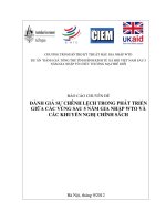 BÁO CÁO CHUYÊN ĐỀ ĐÁNH GIÁ SỰ CHÊNH LỆCH TRONG PHÁT TRIỂN GIỮA CÁC VÙNG SAU 5 NĂM GIA NHẬP WTO VÀ CÁC KHUYẾN NGHỊ CHÍNH SÁCH