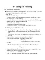 Đề cương nền móng công trình