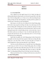 tiểu luận vật lý thống kê về lý thuyết thăng giáng