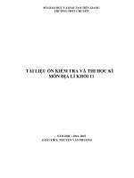 TÀI LIỆU ÔN KIỂM TRA VÀ THI HỌC KÌ MÔN ĐỊA LÍ KHỐI 11