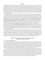 'Nghiên cứu chế tạo và một số cơ chế kích thích và chuyển hoá năng lượng trong vật liệu bán dẫn hợp chất III-Pcấu trúc nano