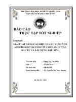 Giải  pháp nâng cao hiệu quả sử dụng vốn kinh doanh tại Công ty Cổ phần tư vấn đầu tư và xây dựng Đại Long