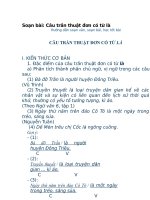 chương trình ngữ giáo án ngữ văn lớp 6: câu trần thuật đơn có nghỉa từ là