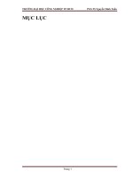 bài tiểu luận chiến lược đại dương xanh