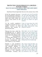 BẢO VỆ CHẤT ĐẠM TRONG MỘT THẾ GIỚI THIẾU THỐN PROTEIN