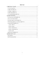 chuyên đề ĐẾM ĐƠN GIẢN BẰNG PHƯƠNG PHÁP LÙA BÒ