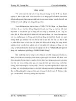 Phân tích hiệu quả sử dụng vốn kinh doanh tại Công ty TNHH TM Hà Giang