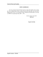 Giải pháp phát triển thị trường tiêu thụ rượu của công  ty TNHH VIET LEGEND