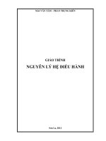 giáo trình nguyên lý hệ điều hành      Chương 1: TỔNG QUAN VỀ HỆ ĐIỀU HÀNH