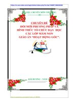 CHUYÊN ĐỀ ĐỔI MỚI PHƯƠNG PHÁP VÀ  HÌNH THỨC TỔ CHỨC DẠY  HỌC  CÁC LỚP MẦM NON  GIÁO ÁN “HOẠT ĐỘNG GÓC”.