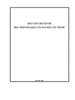BÁO CÁO CHUYÊN ĐỀ HỌC PHẦN ĐA DẠNG TÀI NGUYÊN CÂY THUỐC