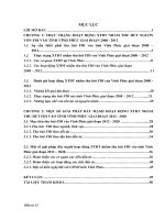 Hoạt động xúc tiến đầu tư nhằm thu hút nguồn vốn đầu tư trực tiếp nước ngoài vào tỉnh Vĩnh Phúc giai đoạn 2008  2012