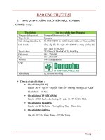 BÁO CÁO THỰC TẬP CÔNG TY CỔ PHẦN DƯỢC DANAPHA