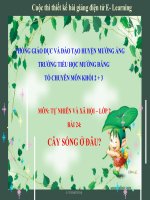 slide thuyết trình  TNXH Lớp 2 Bài 24 - Cây sống ở đâu
