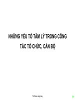 Bài giảng NHỮNG YẾU TỐ TÂM LÝ TRONG CÔNG TÁC TỔ CHỨC, CÁN BỘ
