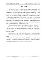 phân tích doanh thu tại công ty TNHH Du Lịch Sang Trọng Việt Nam