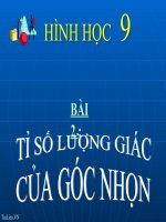 Bài giảng Hình học 9 chương 1 bài 2 Tỉ số lượng giác của góc nhọn
