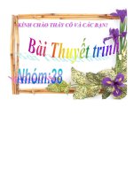 Đề tài Nguyên tắc tập quyền trong bộ máy nhà nước