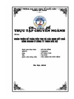 Hoàn thiện kế toán tiêu thụ và xác định kết quả kinh doanh ở Công ty TNHH Bắc Bộ