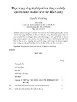 Thực trạng và giải pháp nhằm nâng cao hiệu quả thi hành án dân sự ở tỉnh Bắc Giang