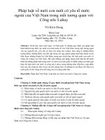 Pháp luật về nuôi con nuôi có yêu tố nước ngoài của Việt Nam trong mối tương quan với Công ước Lahay