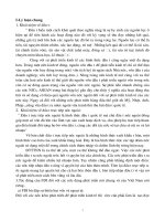 Thực trạng phát triển và thu hút fdi vào khu công nghiệp và khu chế xuất.DOC