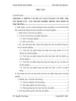 Các biện pháp đẩy mạnh tiêu thụ sản phẩm tại Công ty TNHH LAN PHƯƠNG