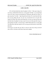 Hiệu quả sử dụng vốn của Công ty TNHH Thiết bị Khoa học và Công nghệ Việt Nhật