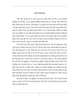 Kế toán bán hàng công ty minh giang