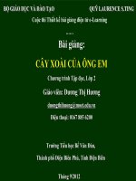 slide thuyết trình  Tập đọc lớp 2 - Bài Cây xoài của ông em (TH Bế Văn Đàn)