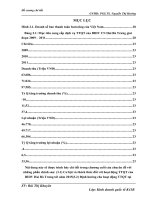 Hoàn thiện hoạt động thanh toán Quốc tế tại Ngân hàng  BIDV CN Hai Bà Trưng