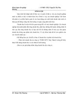 Phân tích doanh thu tại công ty TNHH MTV May Mạnh Cường