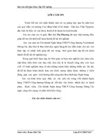 Một số giải pháp nâng cao hiệu quả tín dụng tại ngân hàng TMCP Công thương Móng Cái