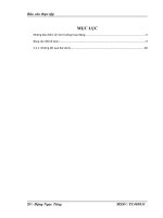 Phân tích tài chính tại Công ty TNHH Cellco Việt Nam