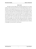 KẾ TOÁN BÁN NHÓM HÀNG KHUNG NHÔM TẠI HÀNG TẠI CÔNG TY CP KINH DOANH VẬT LIỆU VÀ THIẾT BỊ CÔNG NGHIỆP VIỆT