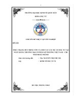Thực trạng huy động vốn và cho vay các dự án đầu tư tại ngân hàng thương mại cổ phần kĩ thương Việt Nam – chi nhánh Hà Thành