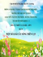 slide thuyết trình lớp 2 Bài 25 - Một số loài cây sống trên cạn