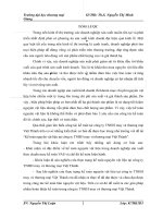 kế toán nguyên vật liệu tại công ty TNHH may và thương mại Việt Thành