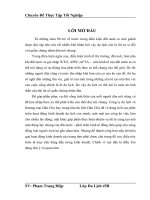 Nâng cao hiệu quả kinh doanh tại trung tâm lữ hành thuộc cty du lịch và TM dân chủ