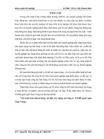 Kế toán bán nhóm hàng vật liệu xây dựng tại công ty TNHH gạch ngói Nam Vang