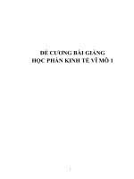 ĐỀ CƯƠNG BÀI GIẢNG  HỌC PHẦN KINH TẾ VĨ MÔ 1