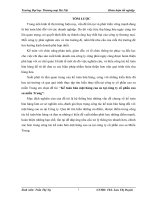 Kế toán bán mặt hàng cao su tại công ty cổ phần cao su miền Trung